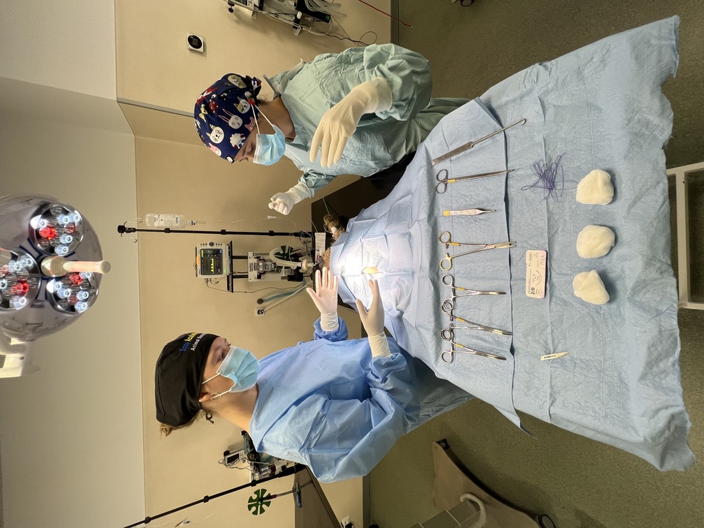 Surgery training session at Veterinary Training Camp