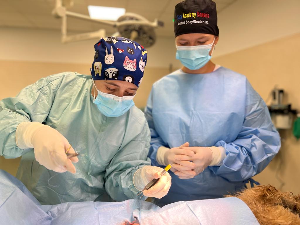 Two trainee surgeons operating side by side at the training camp