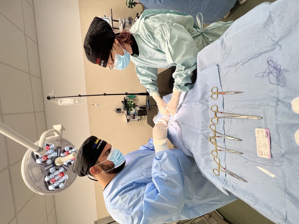 Navle examination