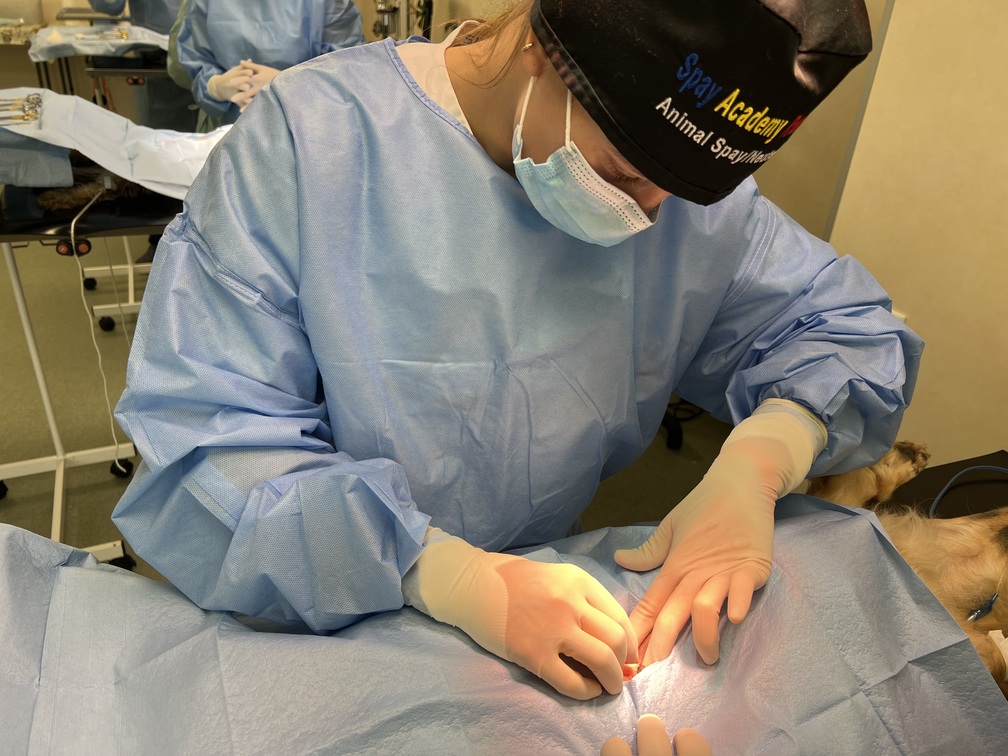 surgery complication dogs