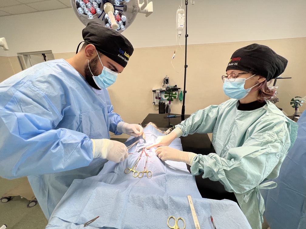 veterinary teacher