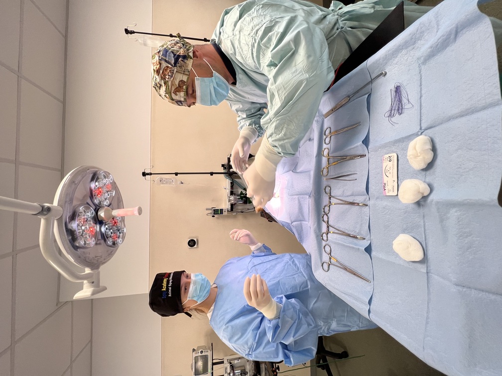 intradermic suture