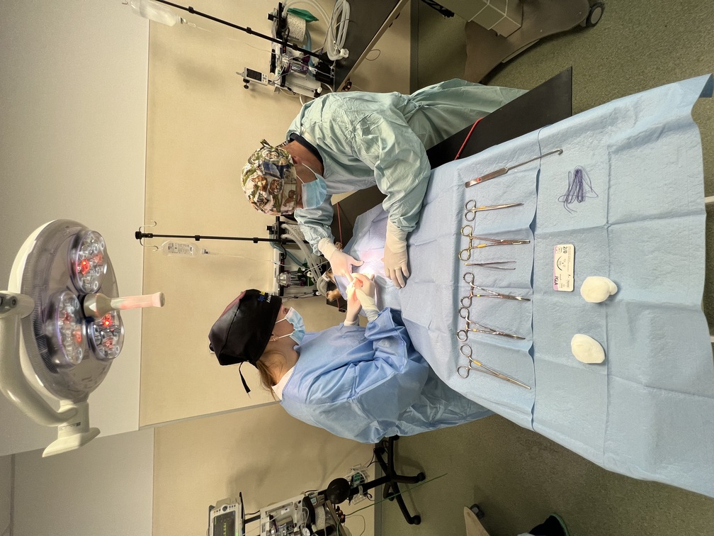 intradermic surgery